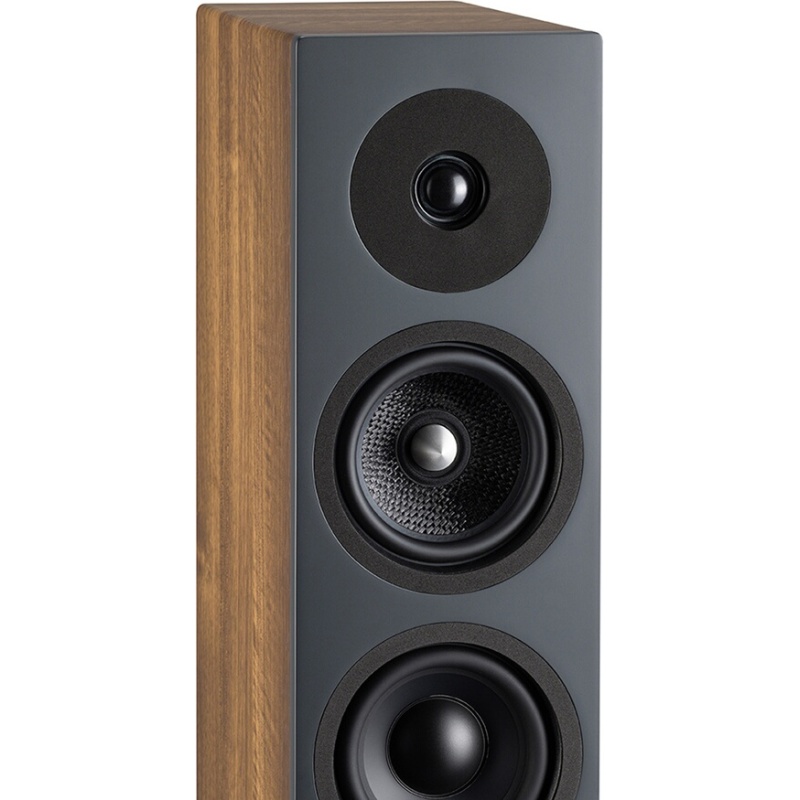 Enceinte colonne Davis Krypton 6 Noyer (vendue à l'unité)