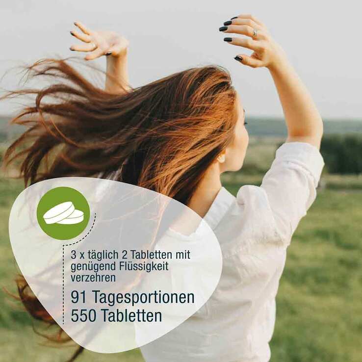 Chlorella 500 mg Bio Naturland Tabletten, 550 St