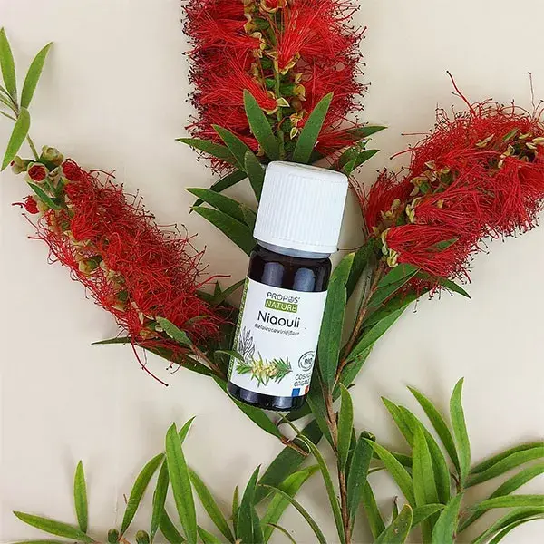 Óleo Essencial de Niaouli Orgânico Propos' Nature Aroma-Phytotherapy 10ml