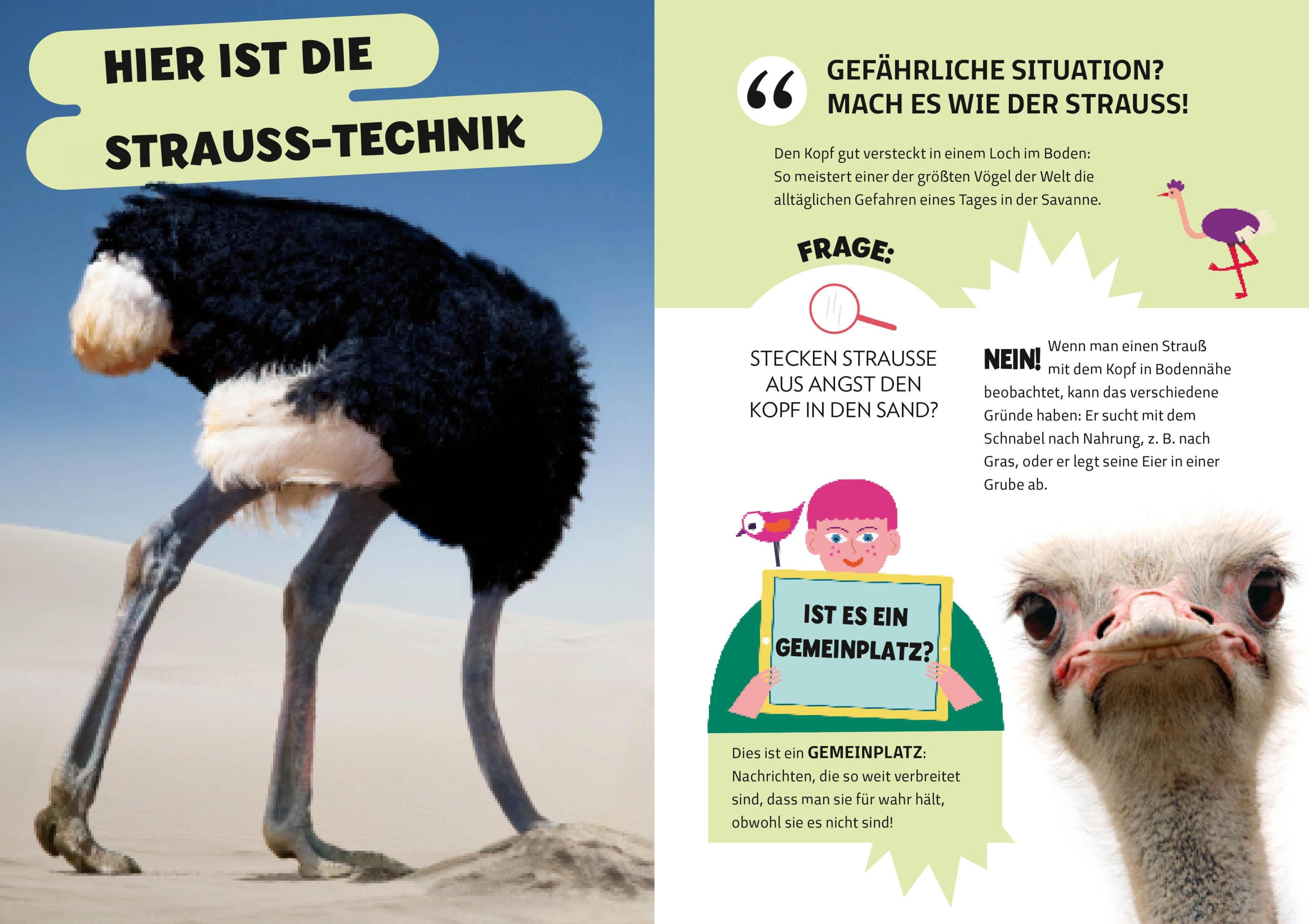 Die Mythenjäger. Keine Chance für Fake News und Lügenmärchen. Checke dein Wissen in unglaublichen Tests!