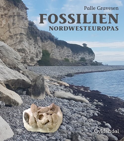 Fossilien Nordwesteuropas - Palle Gravesen - Bog