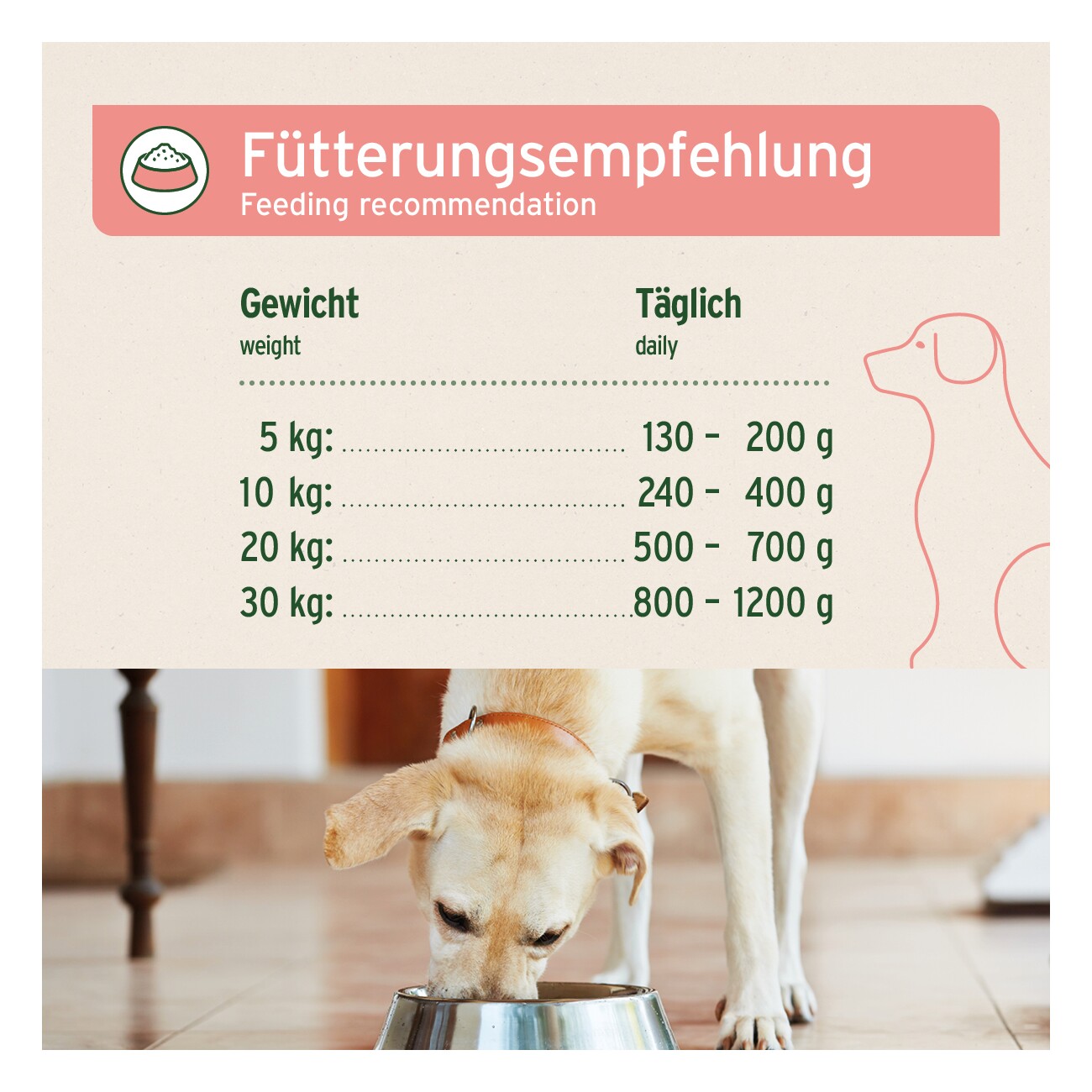 AniForte Nassfutter Rind Pur 6x400 g