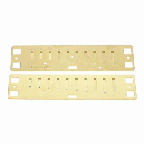 Lee Oskar Natural Minor Reedplates C