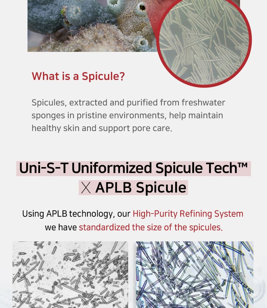 APLB - Spicule Niacinamide Shot 260-serum