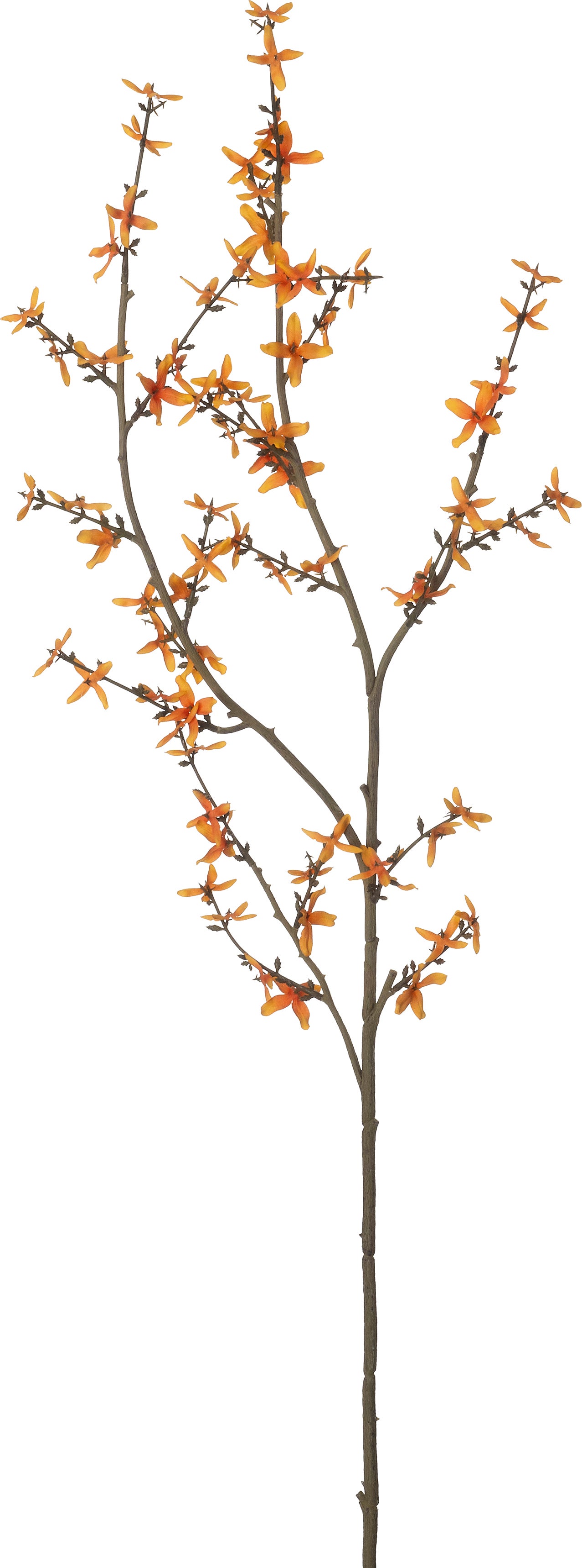 Intratuin kunstbloem Forsythia oranje 115 cm