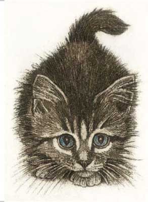 Curious Kitten 68A/3