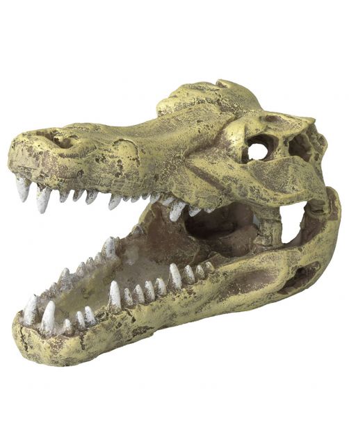 Aqua Della Decor Schedel Krokodil S - Aquarium - Ornament