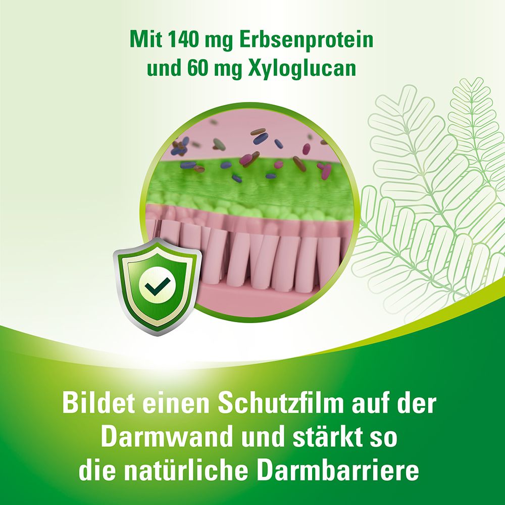 Lefaxan® protect bei wiederkehrenden, funktionellen Blähungen und Blähbauch