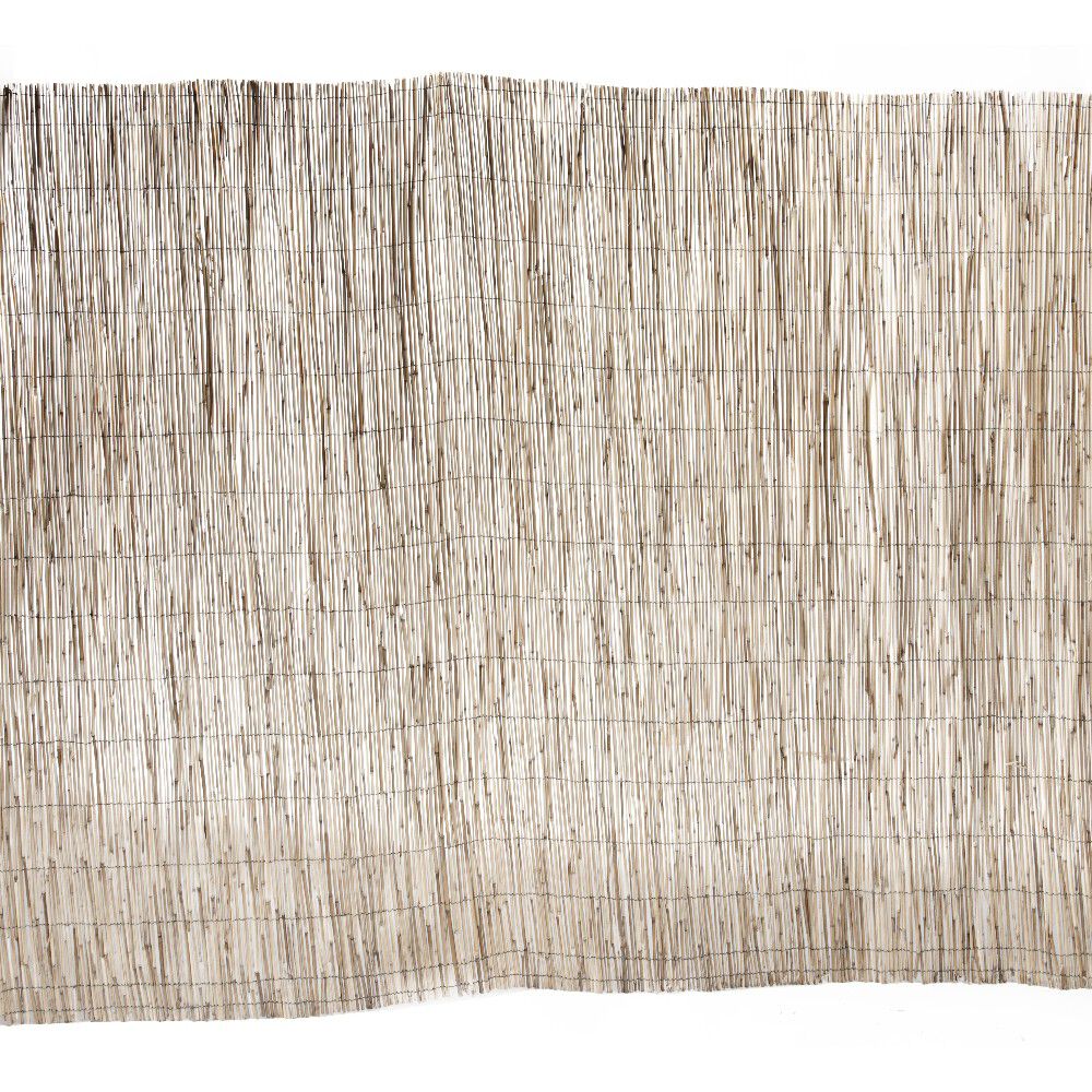Canisse en paillon de roseaux pelés L500 x H150 cm