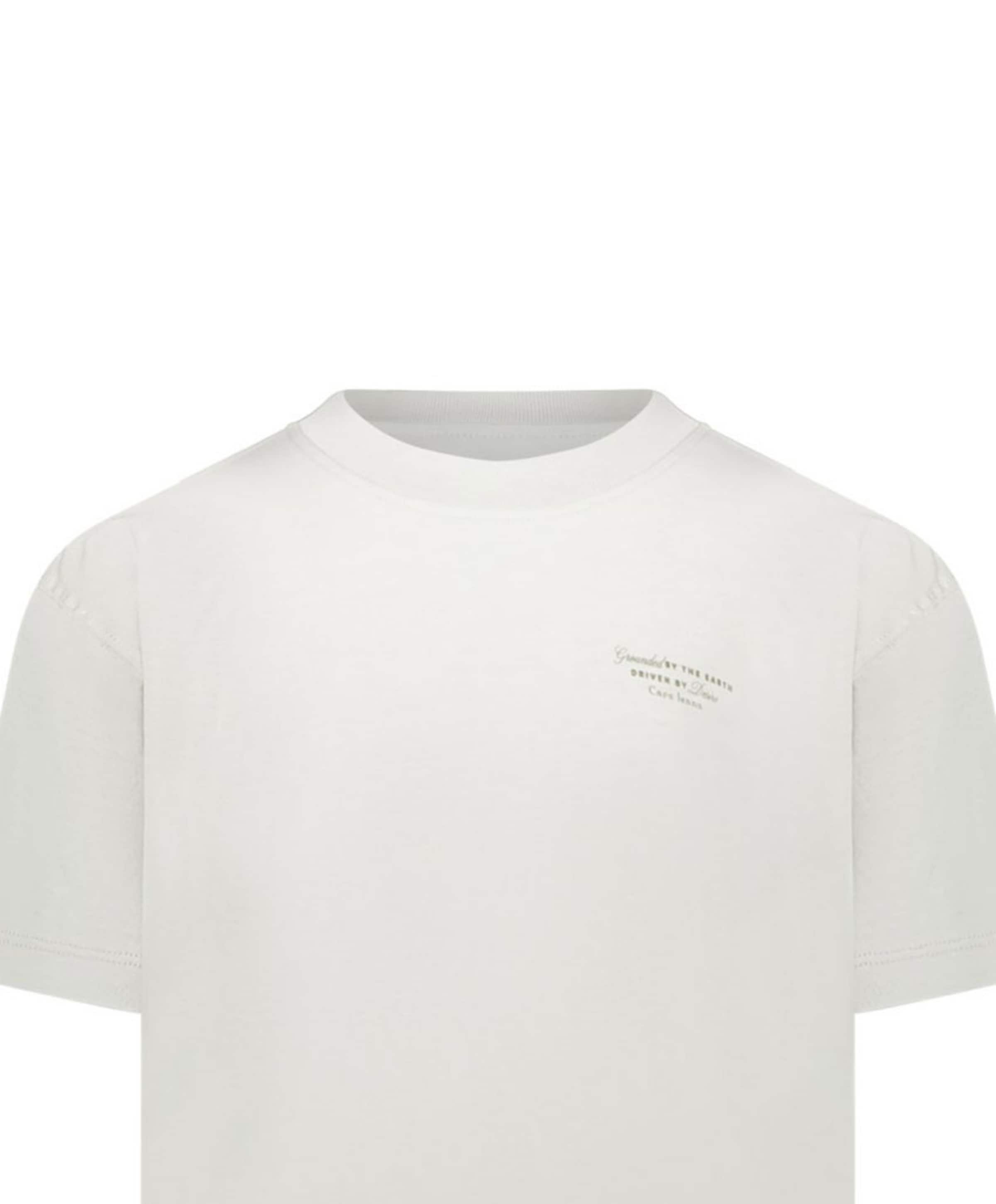 Cars Jeans Jongens T-shirt grijs
