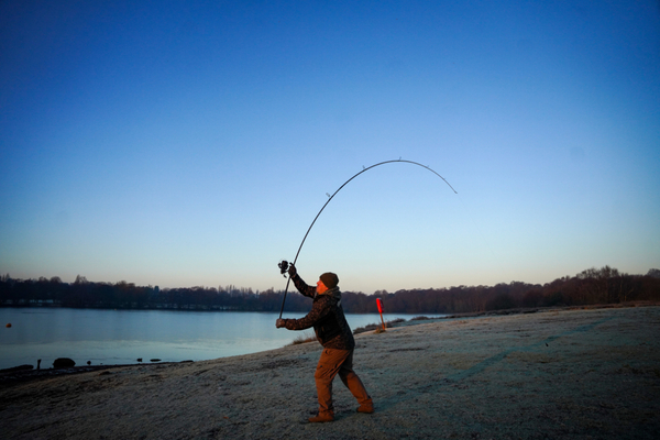 Canne carpe 12ft Shimano Tribal TX-5A