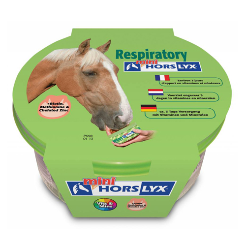 Horslyx Mini Liksteen