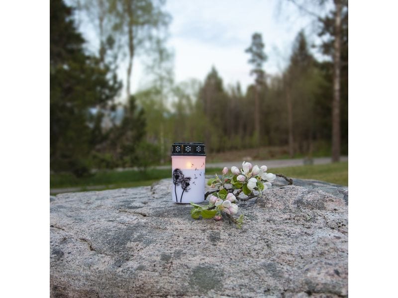 Star Trading LED Grabkerze Löwenzahn, Ø 7 x 12 cm, Weiss LED-Gedenkkerze mit Löwenzahnmotiv