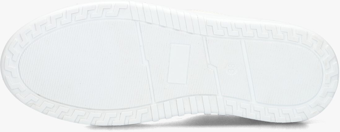 OMODA witte omoda lage sneakers anemone