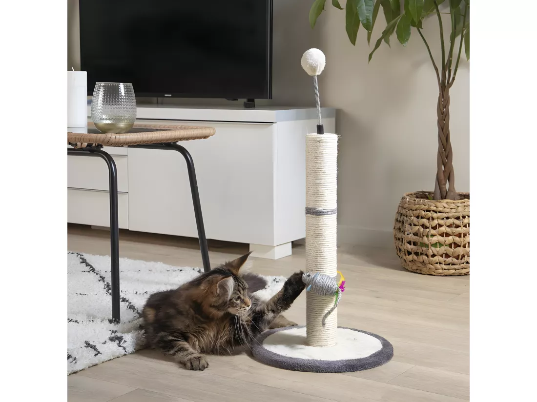 Arbre à Chat avec Jouets 
