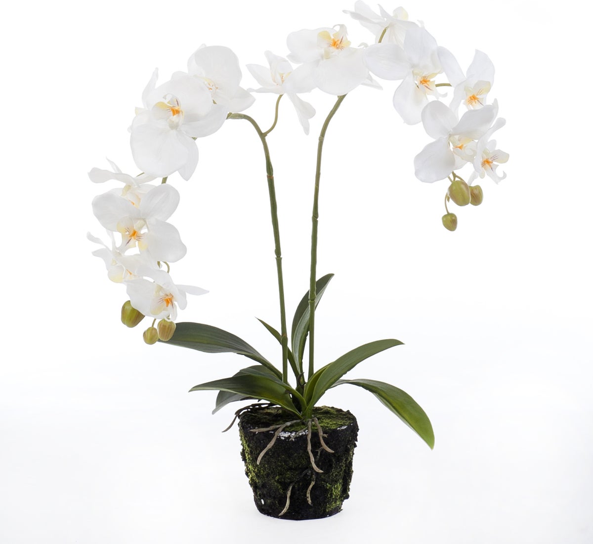 Intratuin kunstplant Vlinderorchidee D 33 H 67 cm wit