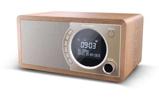 Sharp Digitalradio (DAB+) »DR-450 DAB+/FM Radio« (Bluetooth Digitalradio (DAB+) | FM-Tuner )