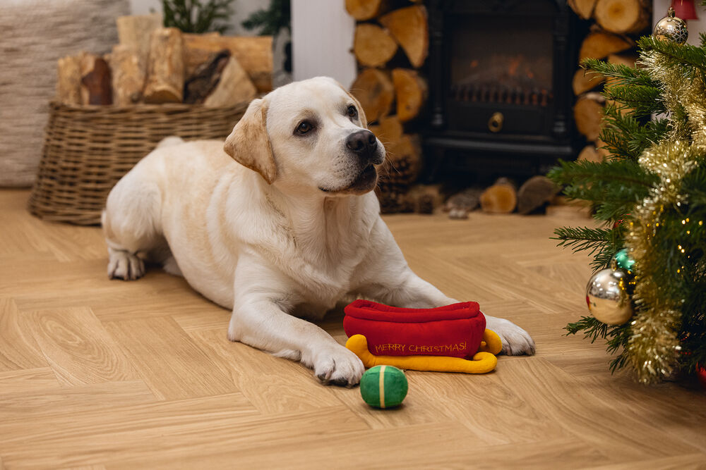 Beeztees Kerstslee Hide and Seek - Denkspel - Puzzel - Hondenspeelgoed - rood