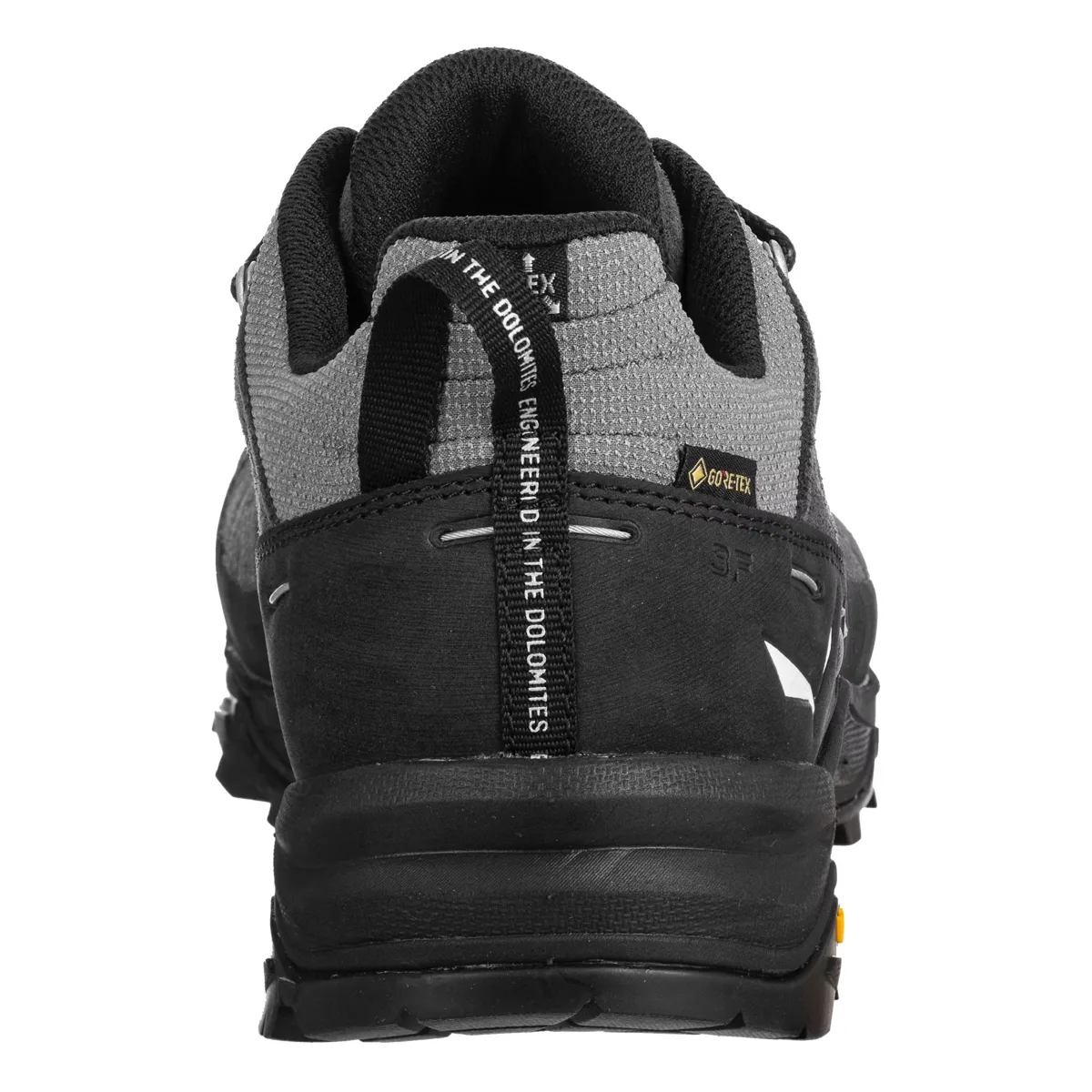 Salewa Men's Alp Trainer 2 Gore-Tex Onyx/Black