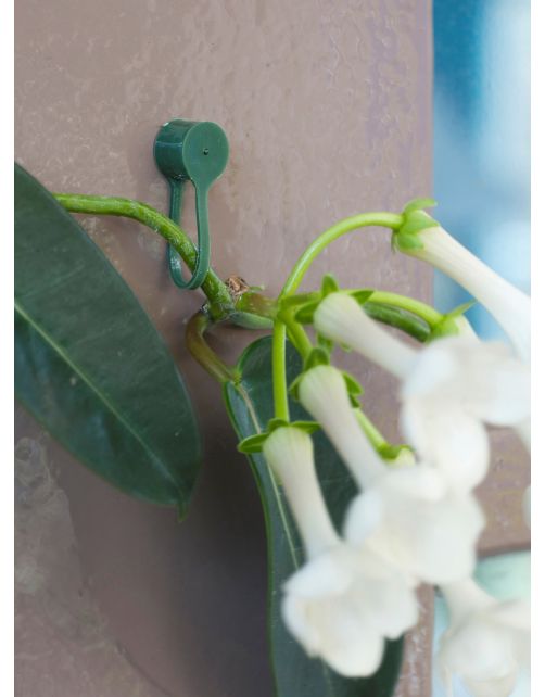 Nature Plantenklemmen - Klim-En Geleide Artikel - 0.6x0.8x6 cm Groen 15 stuks