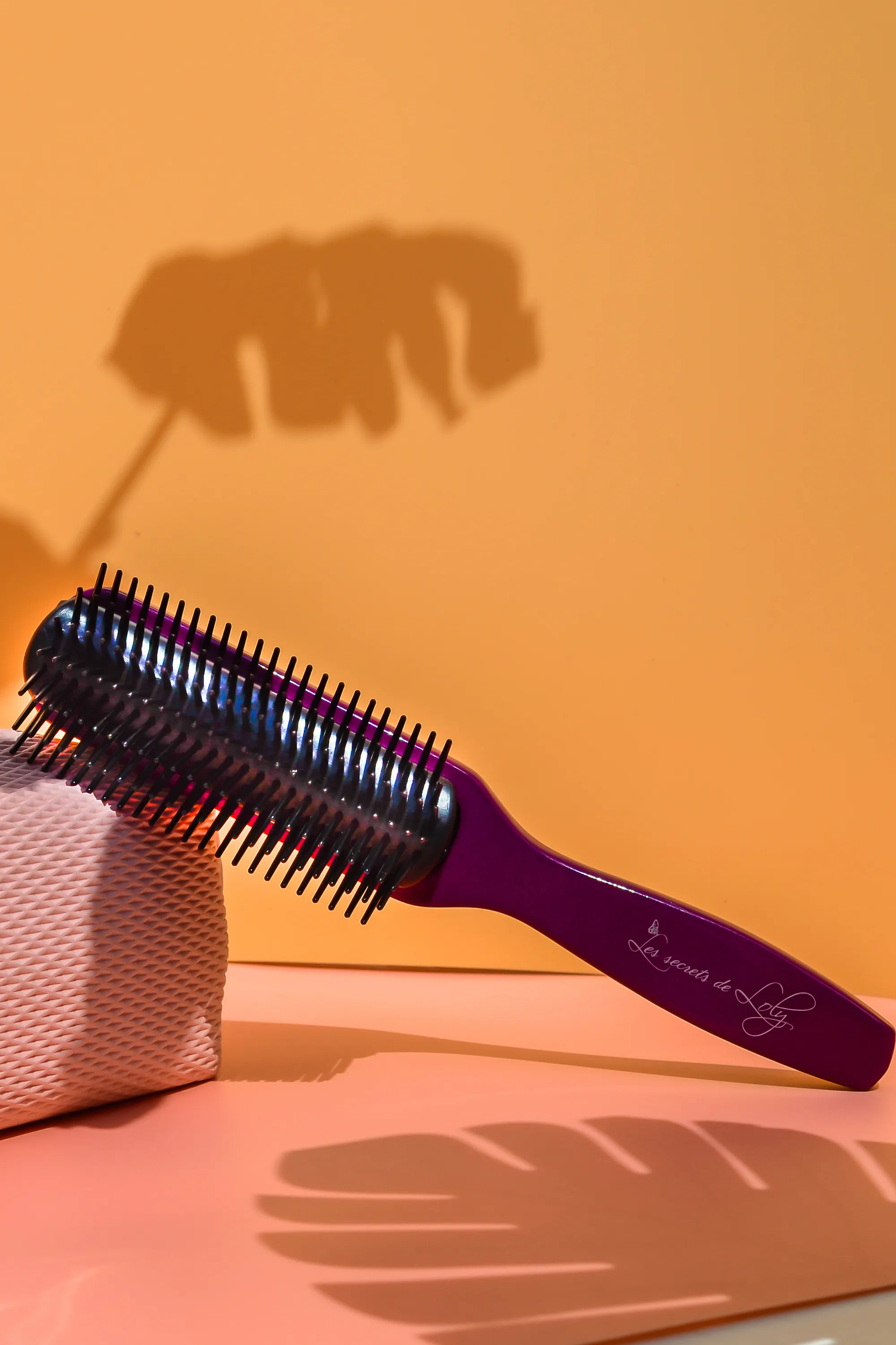 Les Secrets de Loly Brosse démêlante