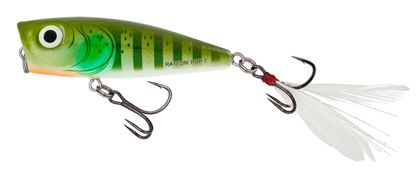 Salmo Rattlin Pop 7cm Surface Popper