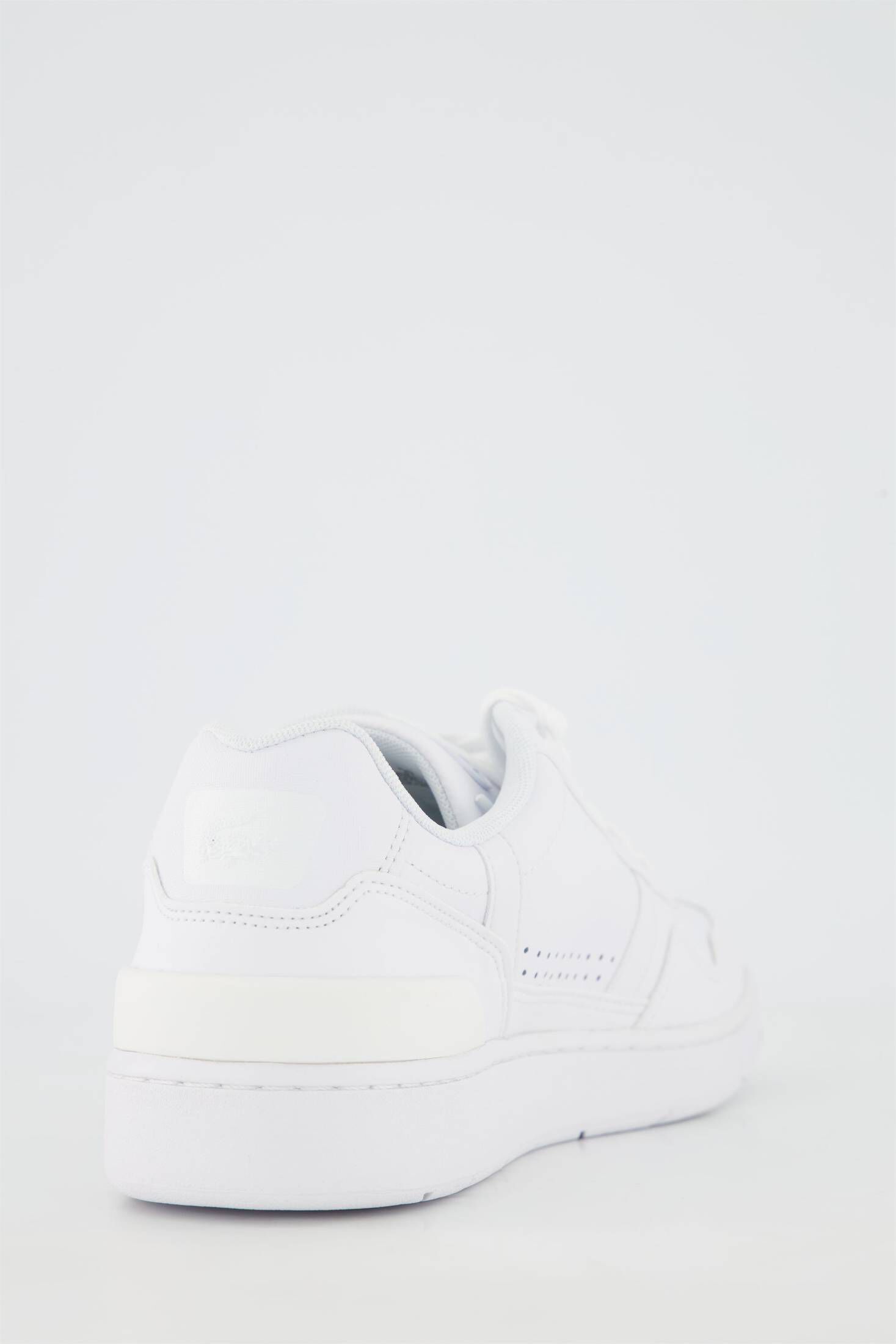 Lacoste| Herren Sneaker T-CLIP