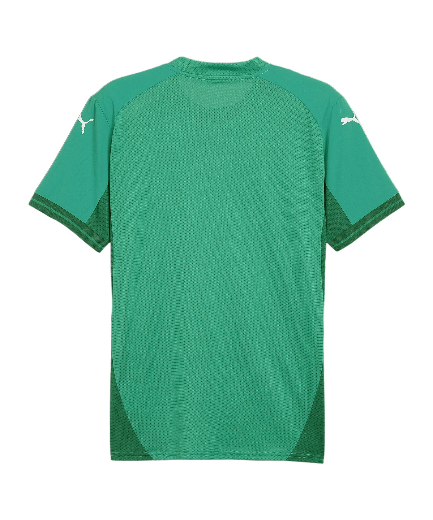 PUMA teamFINAL Trikot Grün Weiss Grün F05