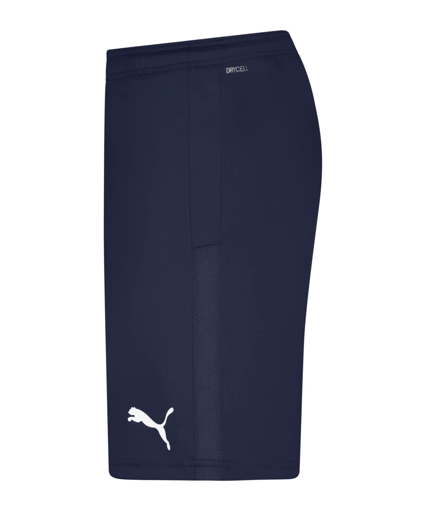 PUMA teamGOAL 23 Knit Short Blau F06
