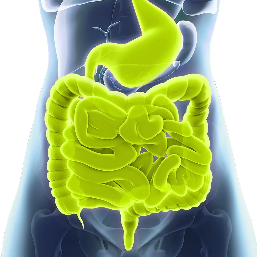 Pepermuntolie 30 capsules