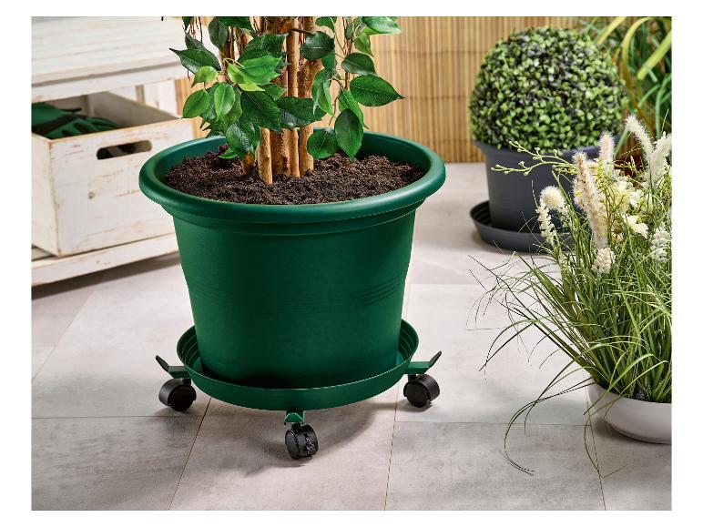 Plantenonderzetter