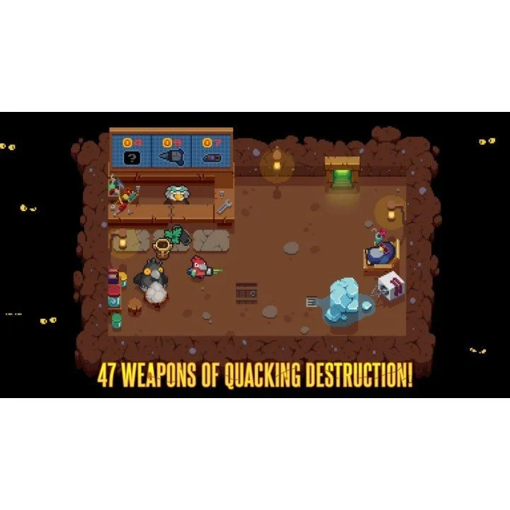 Blazing Beaks- Nintendo Switch