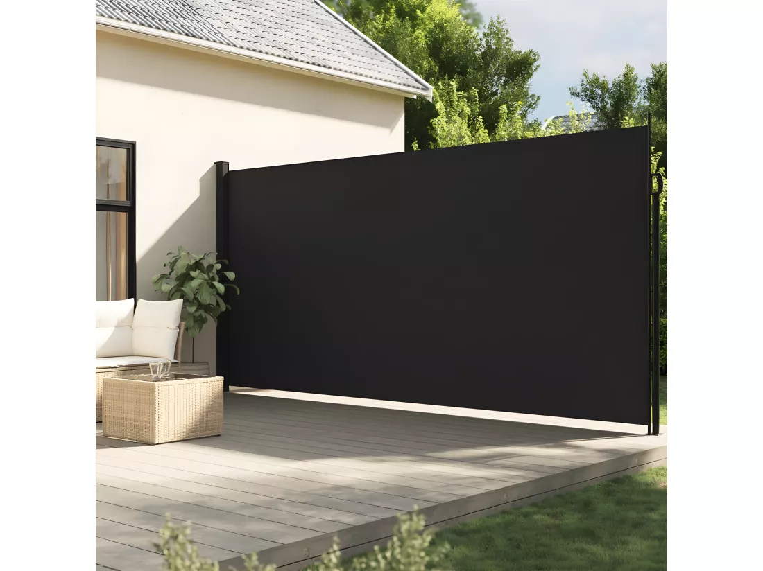 Auvent latéral rétractable noir 220x300 cm