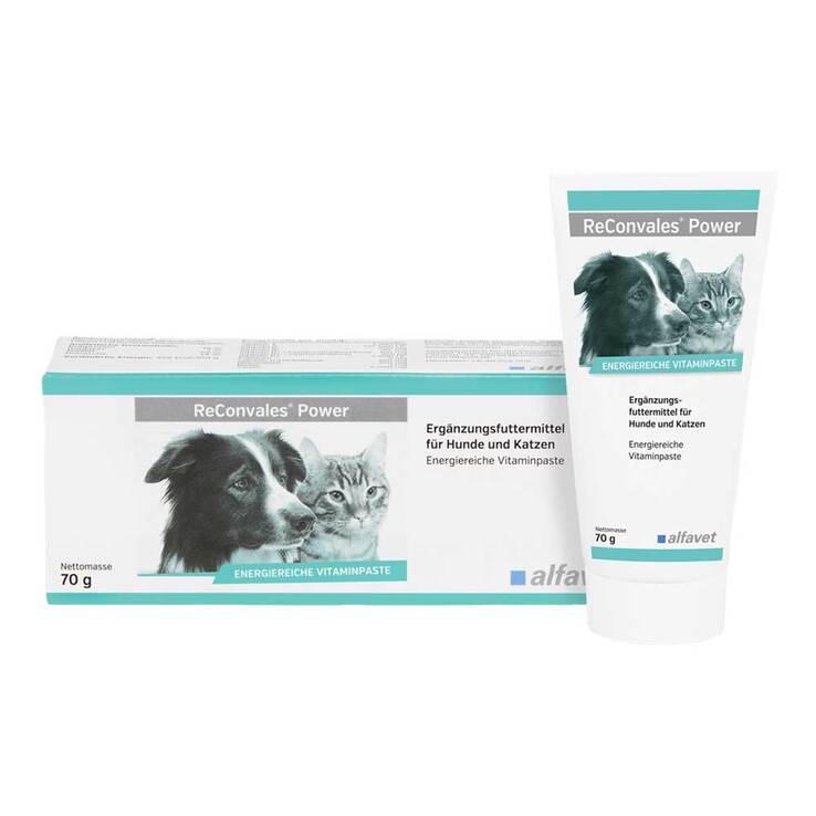 Reconvales Power Vitaminpaste für Hunde / Katzen, 1X70 g