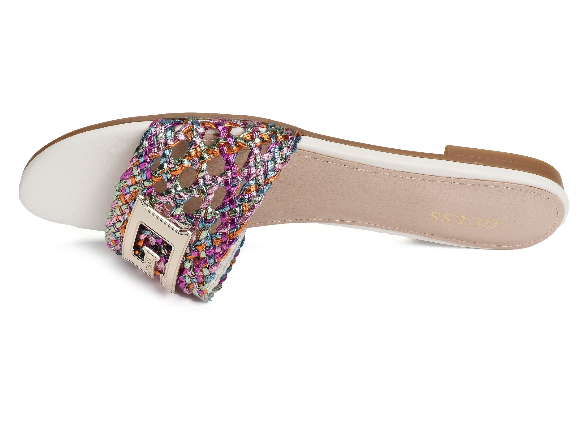 Tassi multicolore