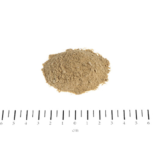 Canina Velox Gewricht-Energie