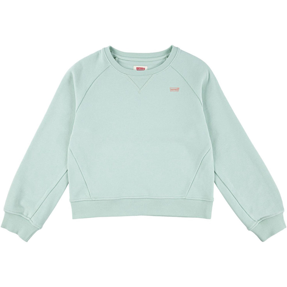Køb Levi's Celadon Lvg Levis Hd Silicone Batwing Sweatshirt