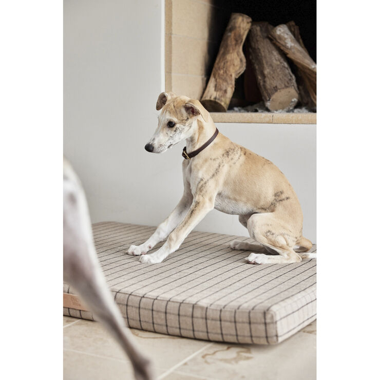 OYOY Living Design Robin Hundehalsbånd - Lille Choko