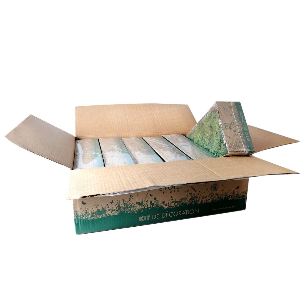 Lic/0554 lichen stabilisée vert w-box 0,5 kg