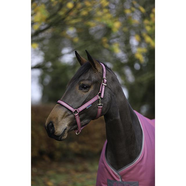 Halster Bucas Dublin AW25 Roze