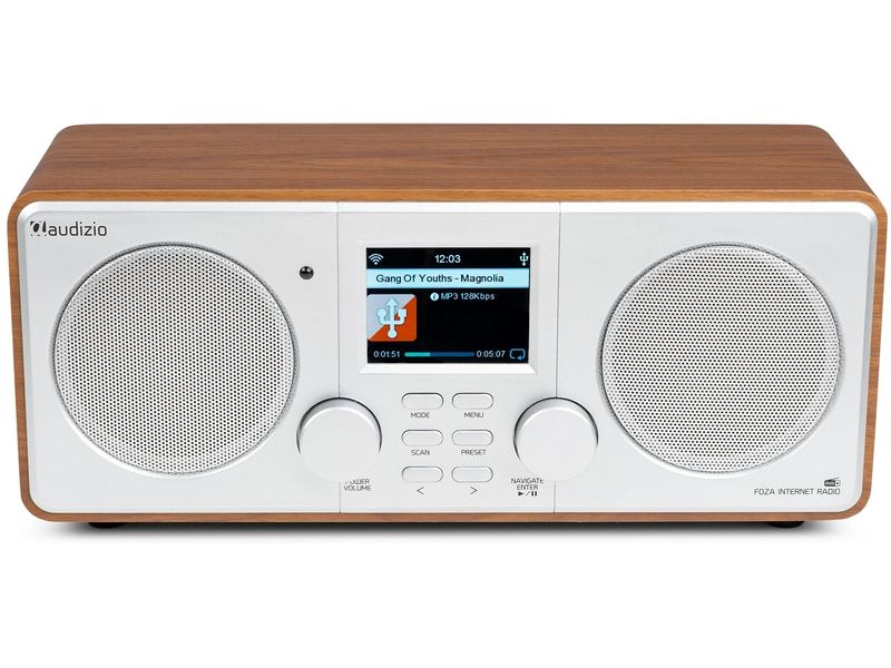 Audizio DAB  Radio Foza Braun/Silber All-in-One-WLAN-Internetradio mit DAB  und UKW