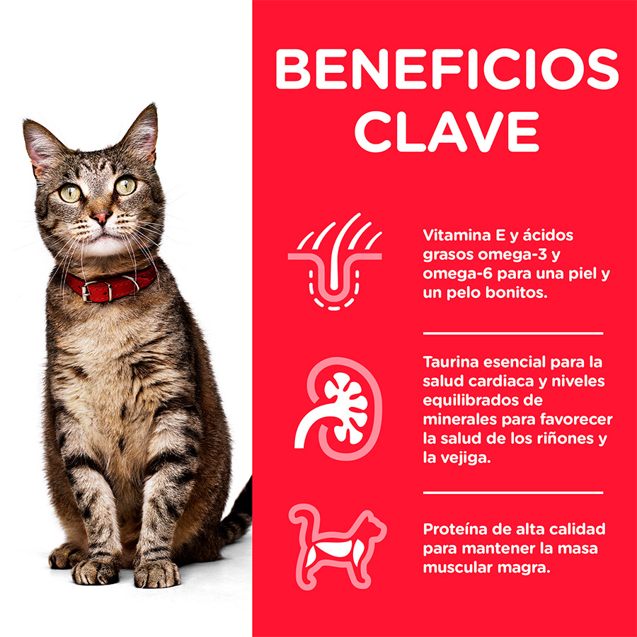 Sachê de peixe adulto da Hill's Science Plan para gatos