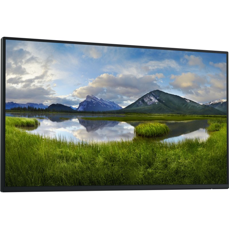 DELL Pro Plus P2425HE_WOST écran plat de PC 61 cm (24