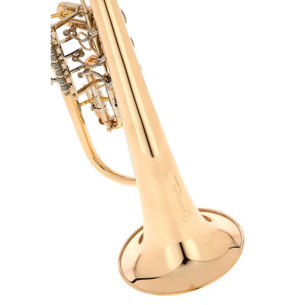 Peter Oberrauch Rosengarten Flgh 10,95 L