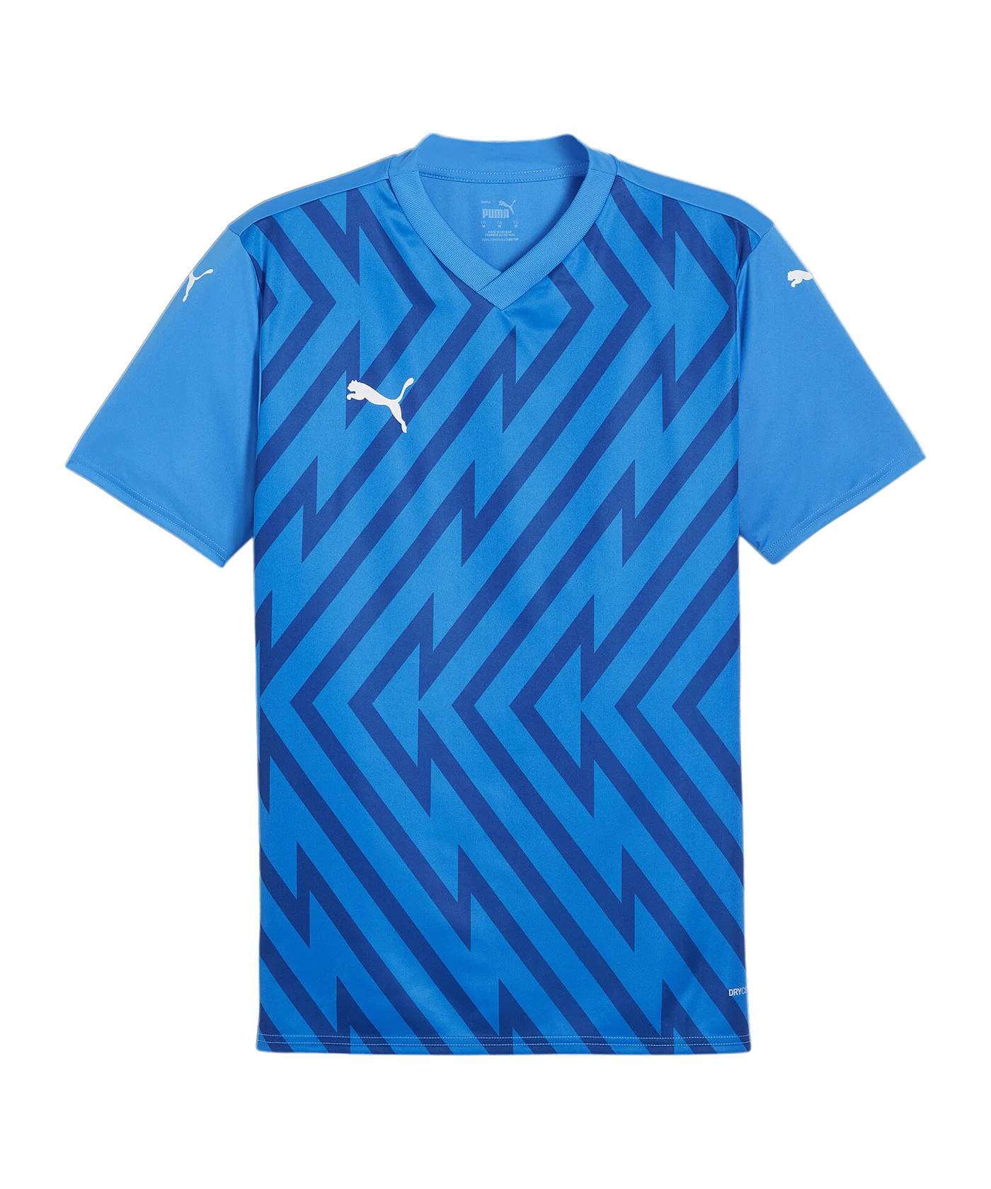 PUMA teamGLORY Trikot Blau Weiss Blau F02