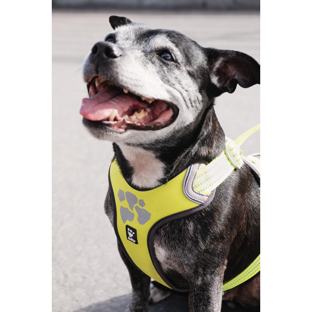 Hurtta Weekend Warrior Harness