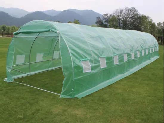 Serre tunnel avec structure en acier 36 m² - L300 x l1200 x H200 cm - Vert - IPOMEA