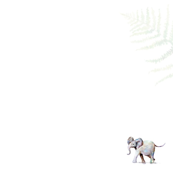 Michelle Dujardin | Geboortekaart | olifant | neef