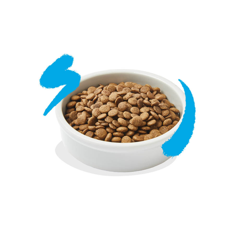 Edgard & Cooper Brokjes - Kattenvoer - 4000 Gram - zalm
