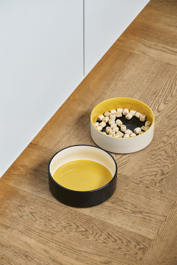 Hay HAY Dogs Bowl-Large-Yellow, blue
